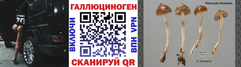 Псилоцибиновые грибы ЛСД  купить  сайты  Кириллов 