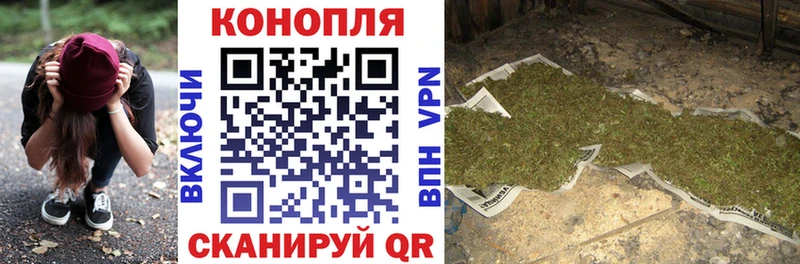 Каннабис план  как найти закладки  Кириллов 